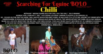 BOLO  - Searching for Chilli Near Placerville, CA, 95667-8931